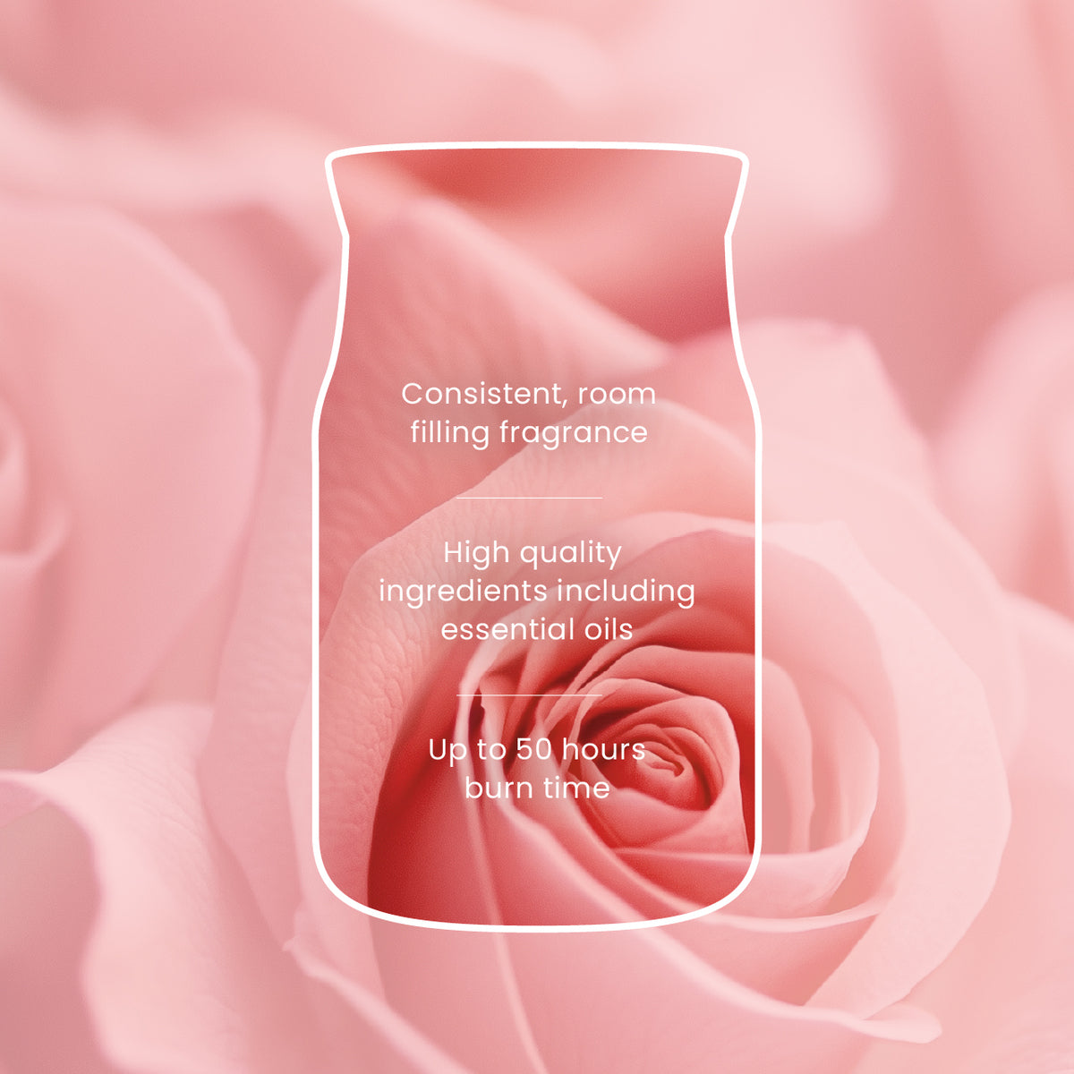 Fresh Cut Roses Signature Large Jar - SALE