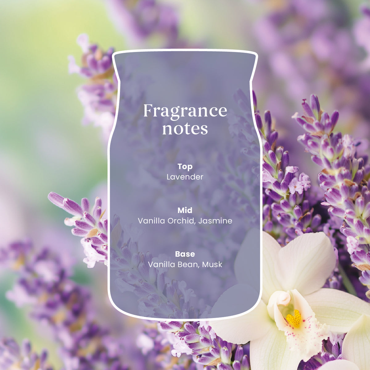 Lavender Vanilla Large Jar