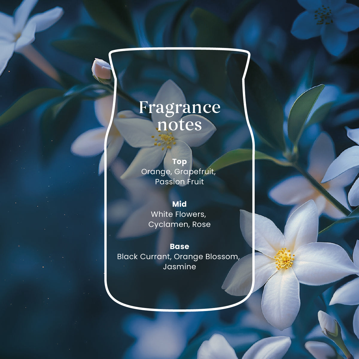 Midnight Jasmine Medium Jar