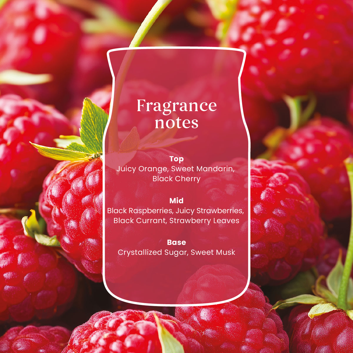 Red Raspberry Large Jar