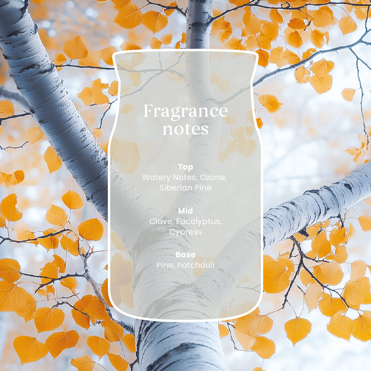 Silver Birch Mini Candle