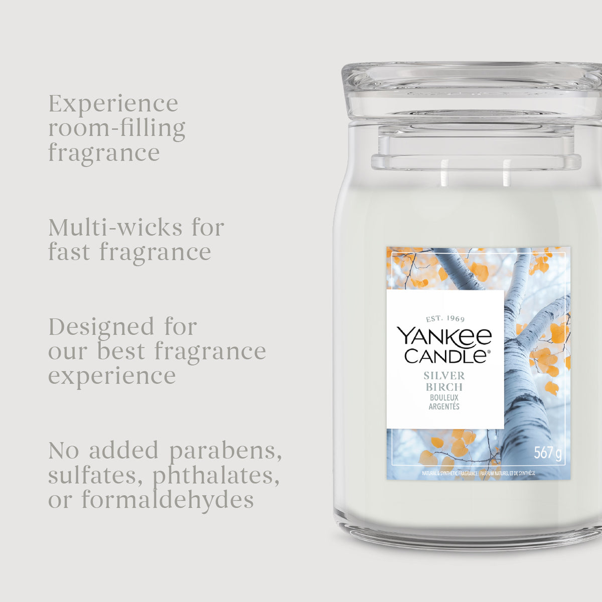Silver Birch Small Jar