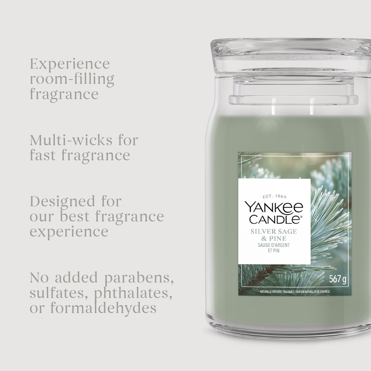Silver Sage & Pine Medium Jar