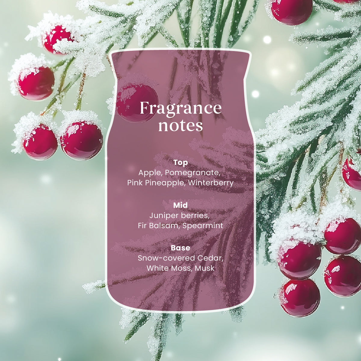 Sparkling Winterberry Large Jar