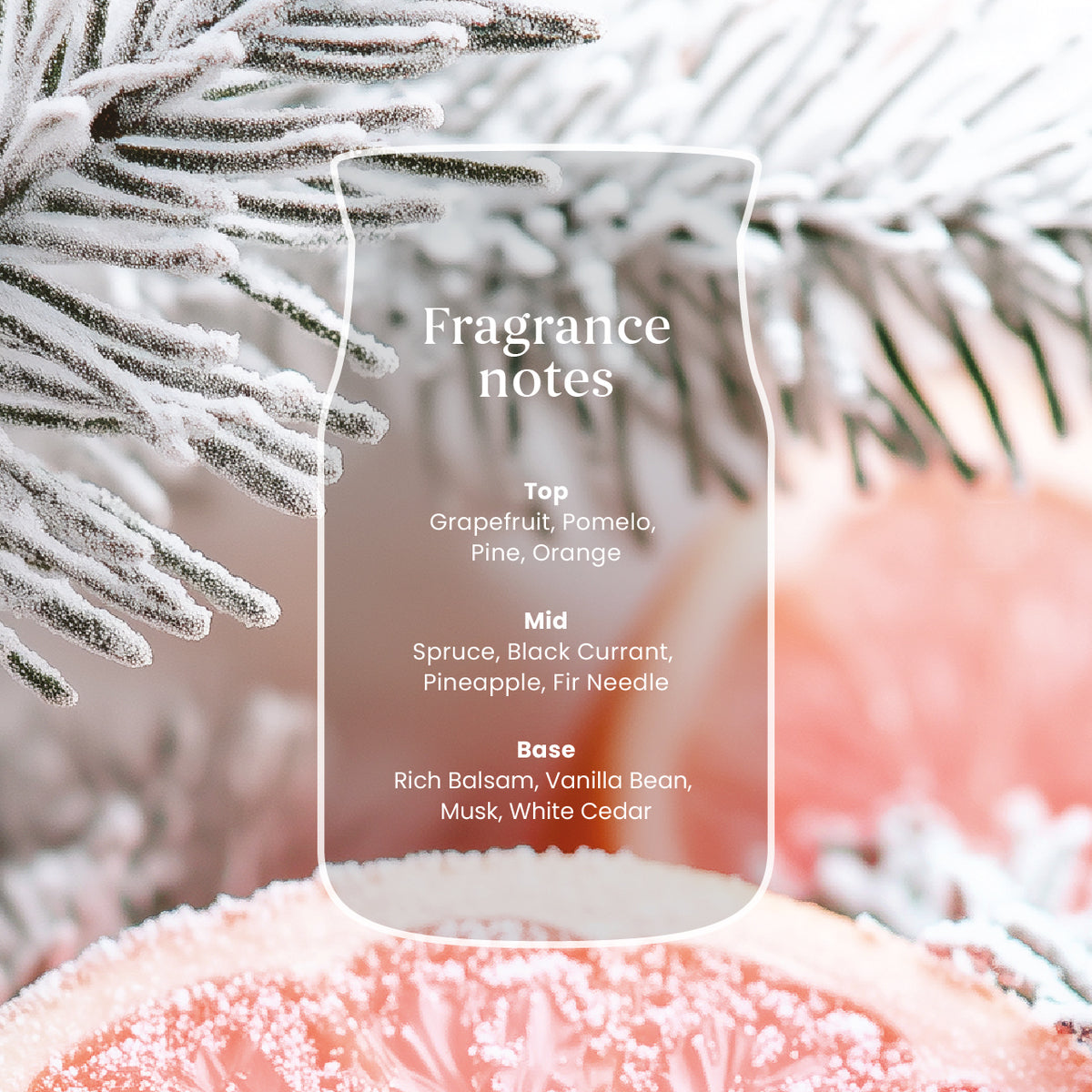 White Spruce & Grapefruit Small Jar