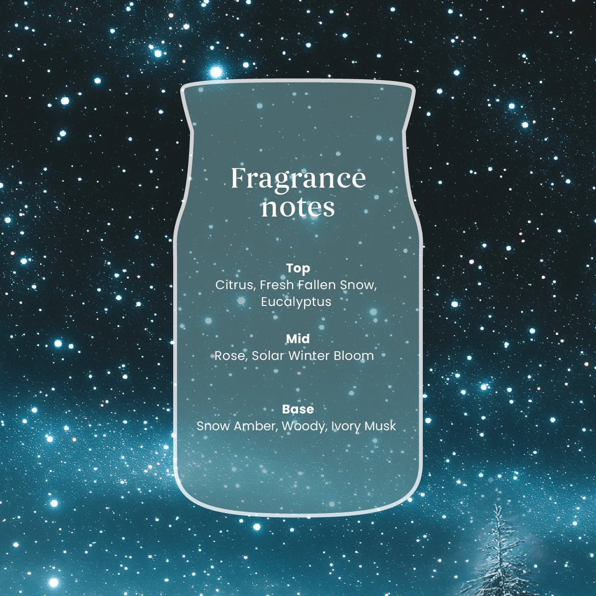 Winter Night Stars Small Jar