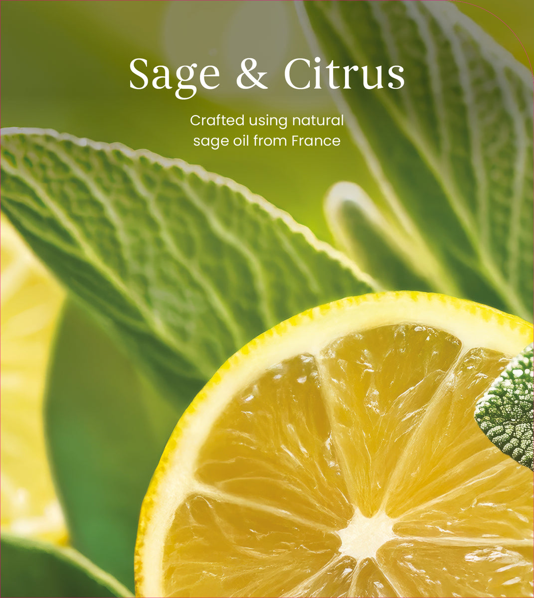 Sage & Citrus Small Jar