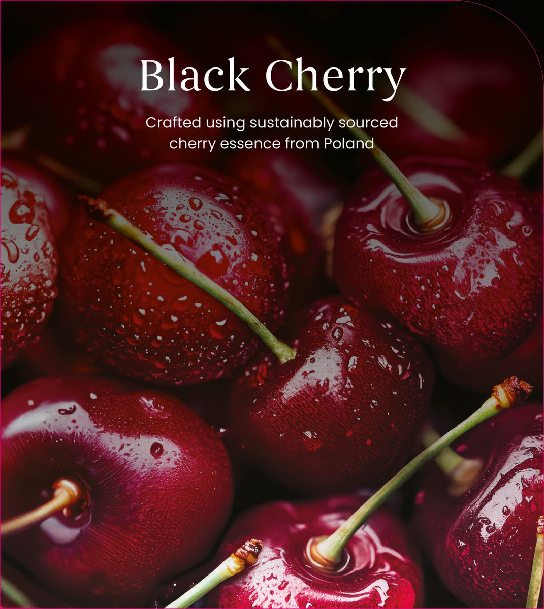 Black Cherry Small Jar