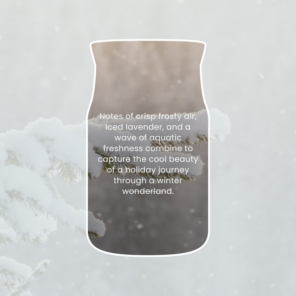 Snow Kissed Pine Mini Candle