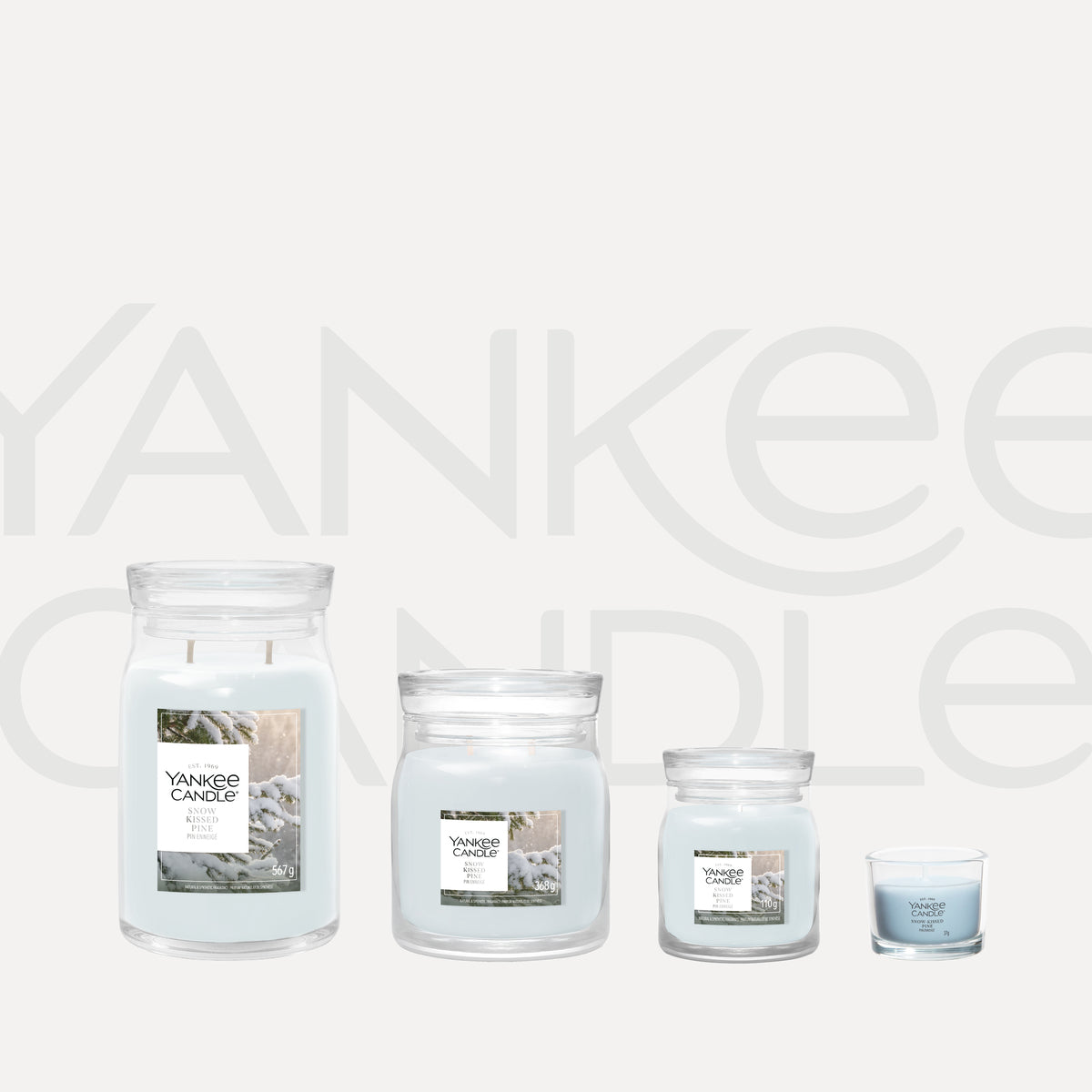 Snow Kissed Pine Medium Jar
