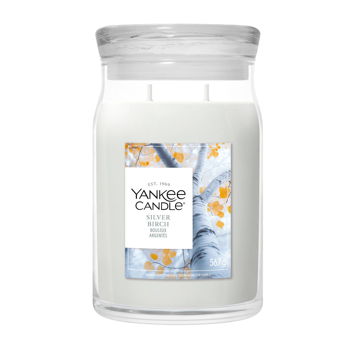 Silver Birch Large Jar