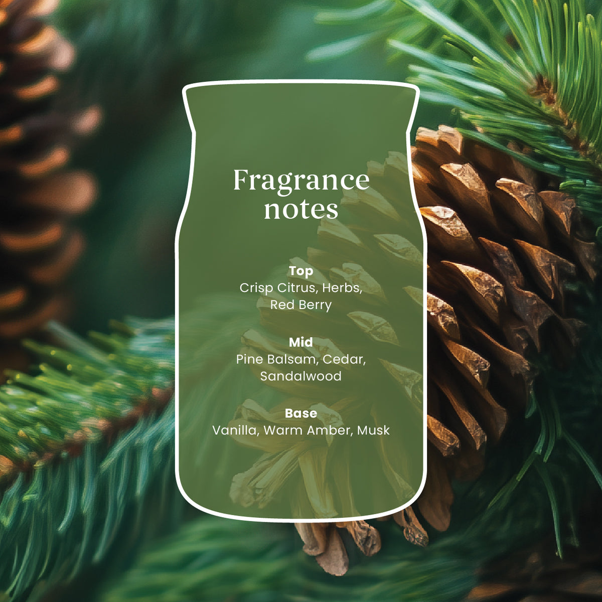 Balsam & Cedar Fireside Mini Candle