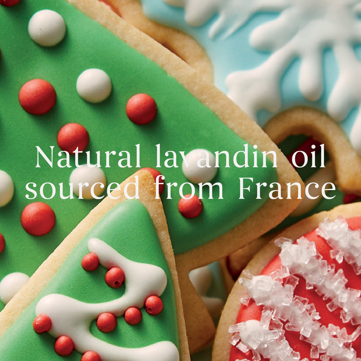 Christmas Cookie Large Jar