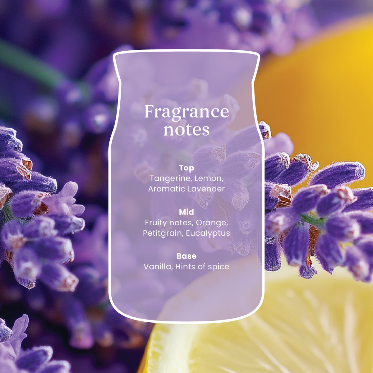 Lemon Lavender Large Jar