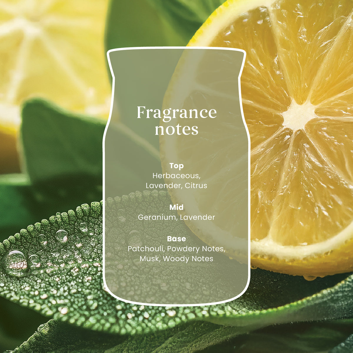 Sage & Citrus Large Jar