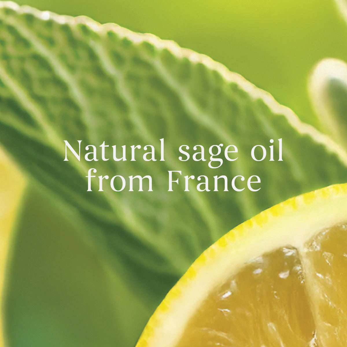 Sage & Citrus Small Jar