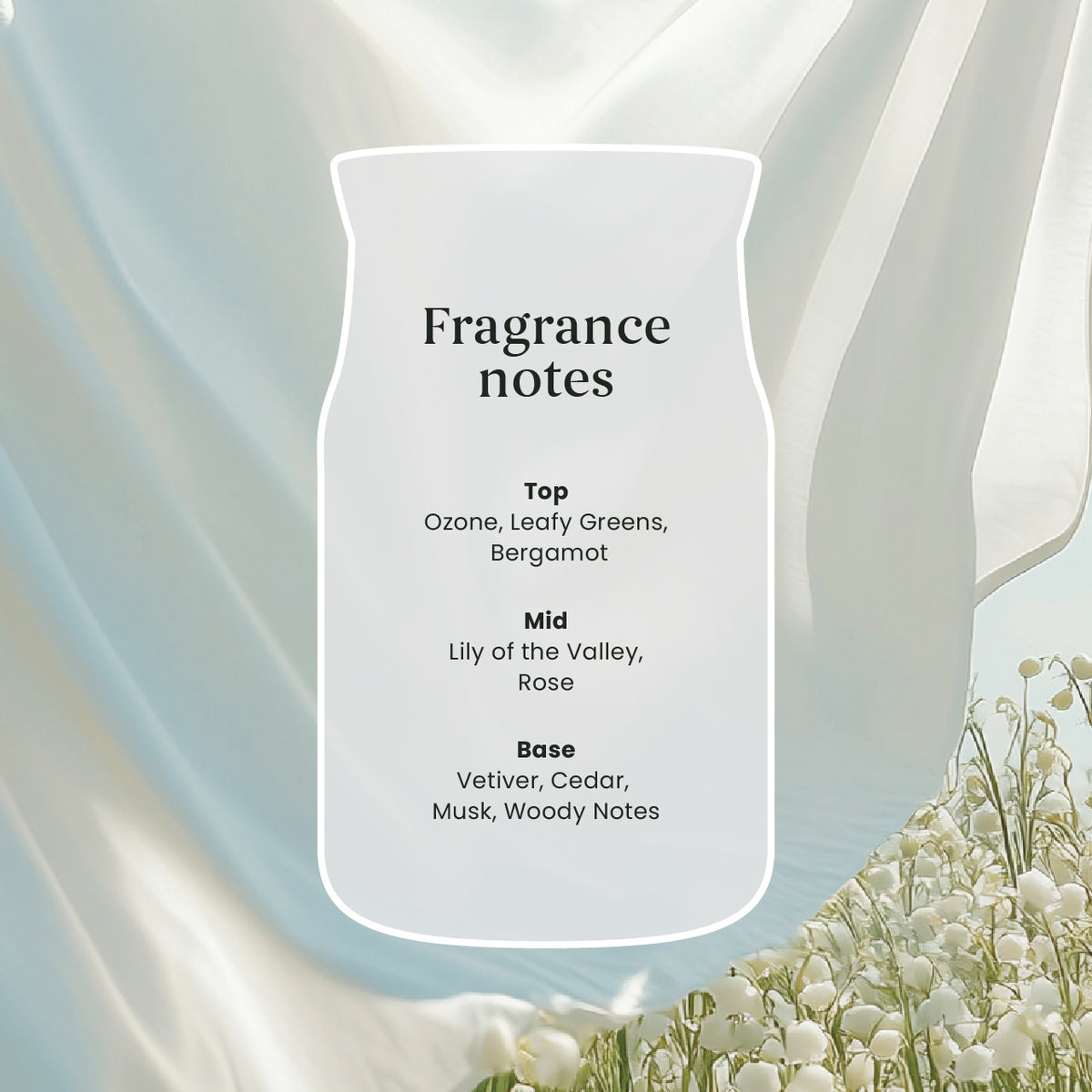 Clean Cotton Signature Large Jar - SALE