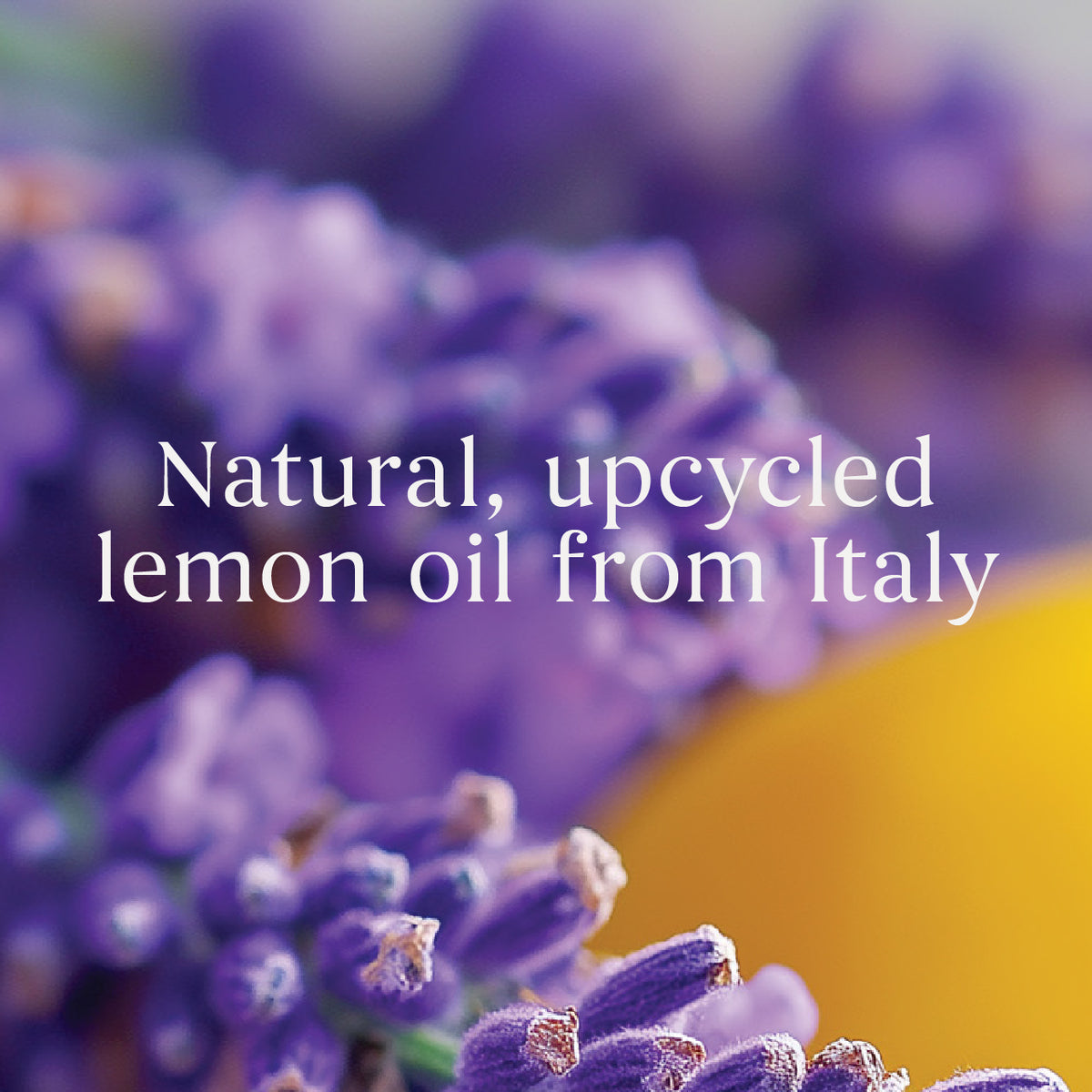Lemon Lavender Mini Candle