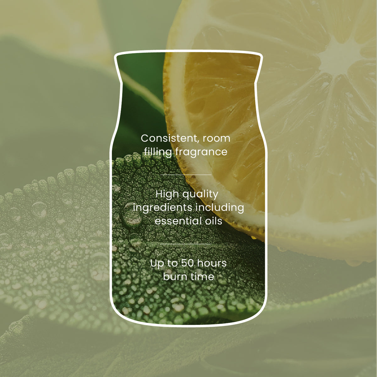 Sage & Citrus Signature Large Jar - SALE