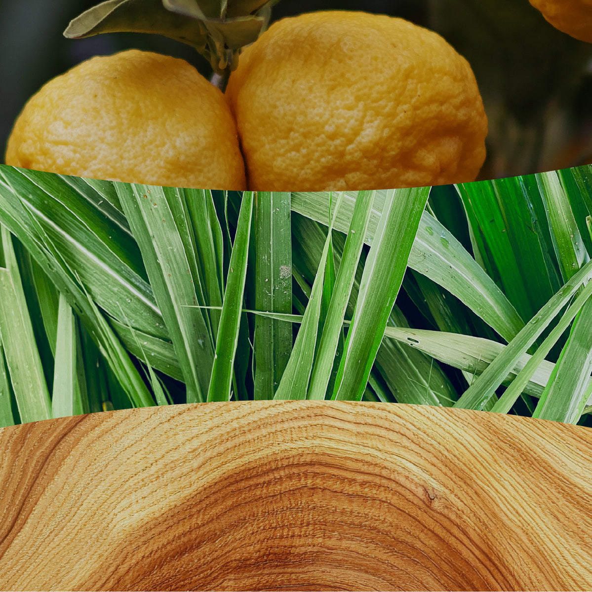 Yuzu & Vetiver WoodWick  Large Hourglass Candle