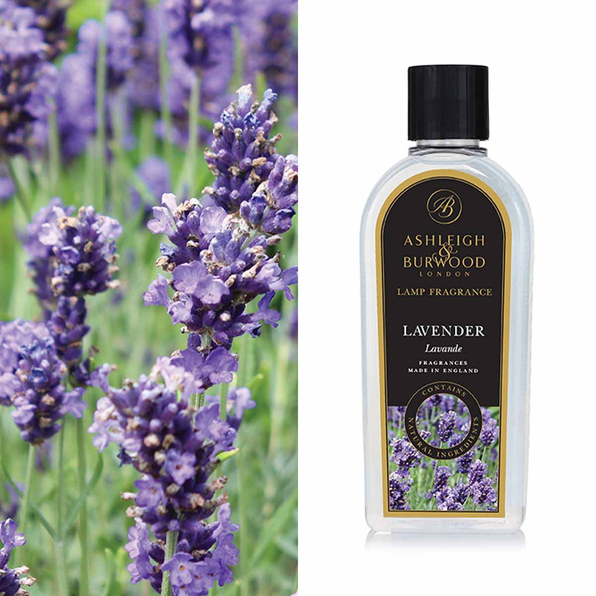 Lavender 500ml Lamp Fragrance - FOM