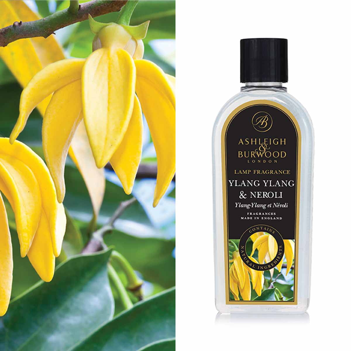 Ylang Ylang Neroli 500ml Lamp Fragrance