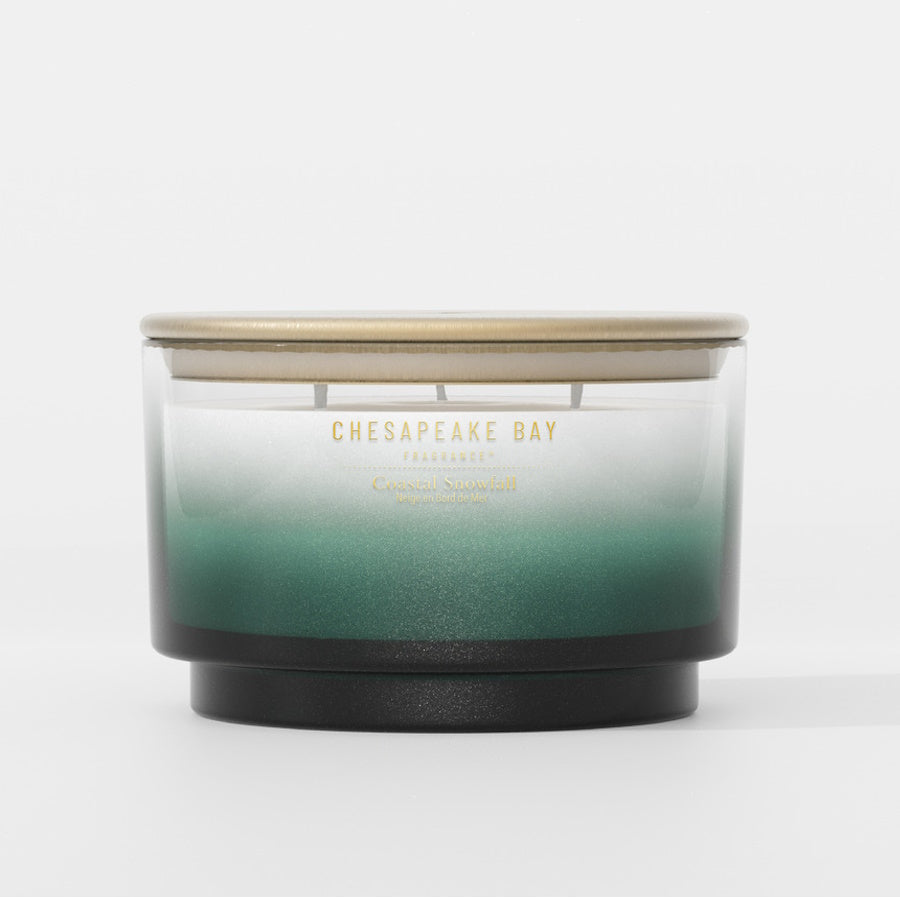 Coastal Snowfall Chesapeake Bay 3 Wick Smooth Glass Tumbler