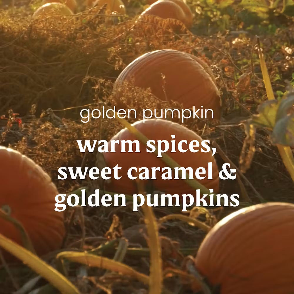 Golden Pumpkin Signature Small Tumbler - Special Offer