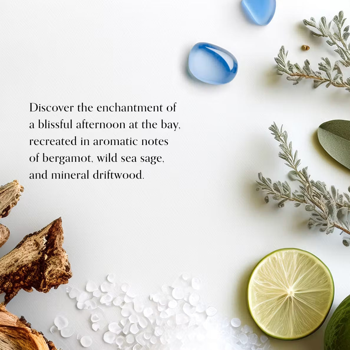 Serene Waters Chesapeake Bay Reed Diffuser
