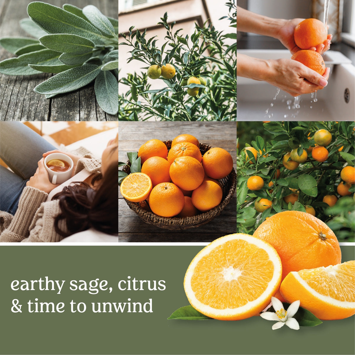 Sage & Citrus CLASSIC Large Jar