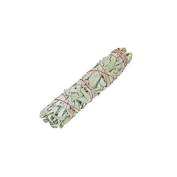 Medium Smudge Stick - White Sage (15-17cm)