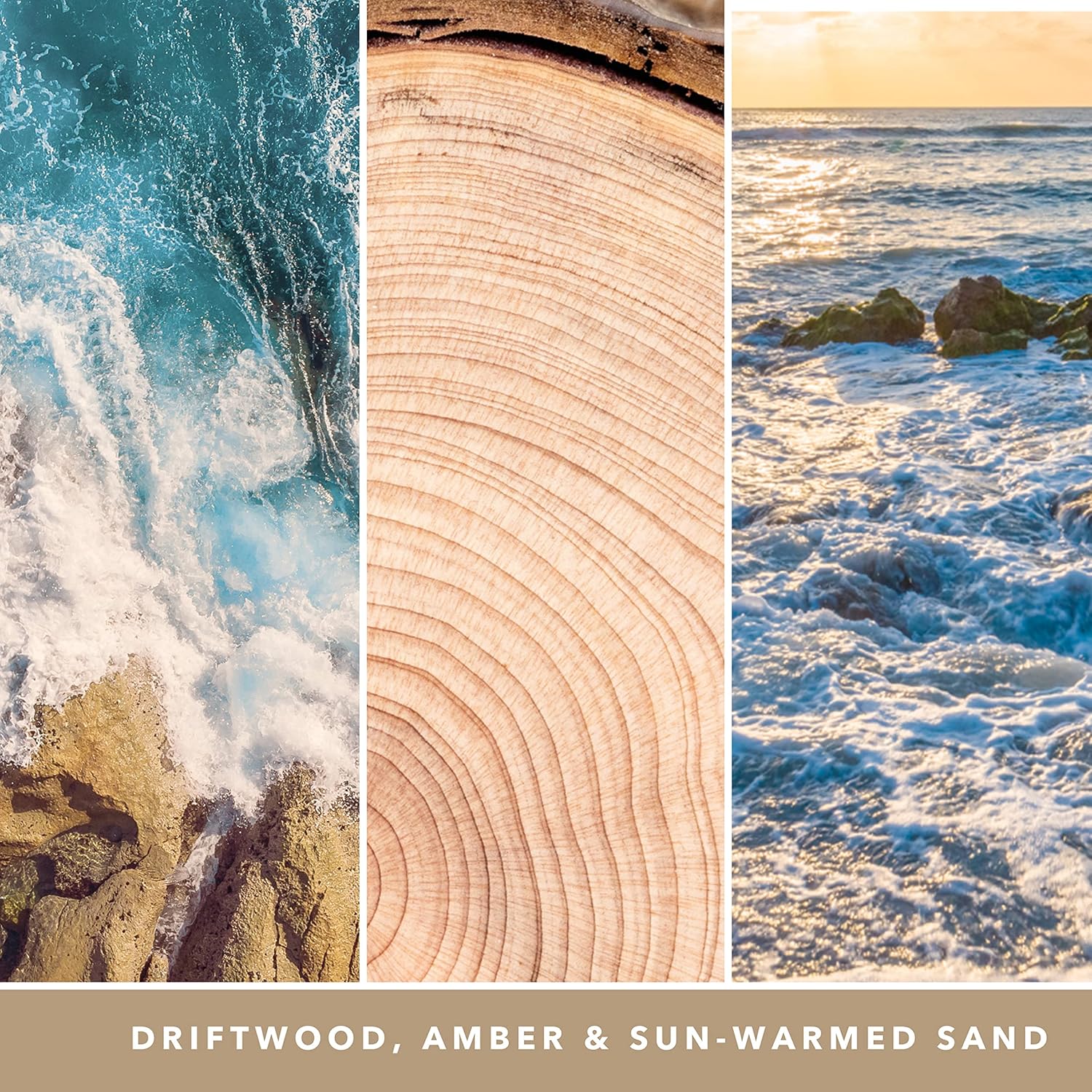 Amber & Sandalwood Signature Large Jar - SALE