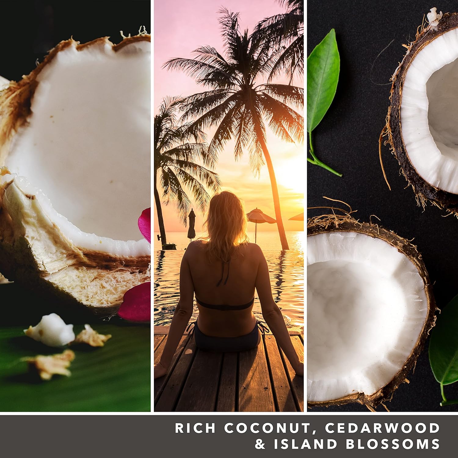 Black Coconut Signature Large Jar - SALE
