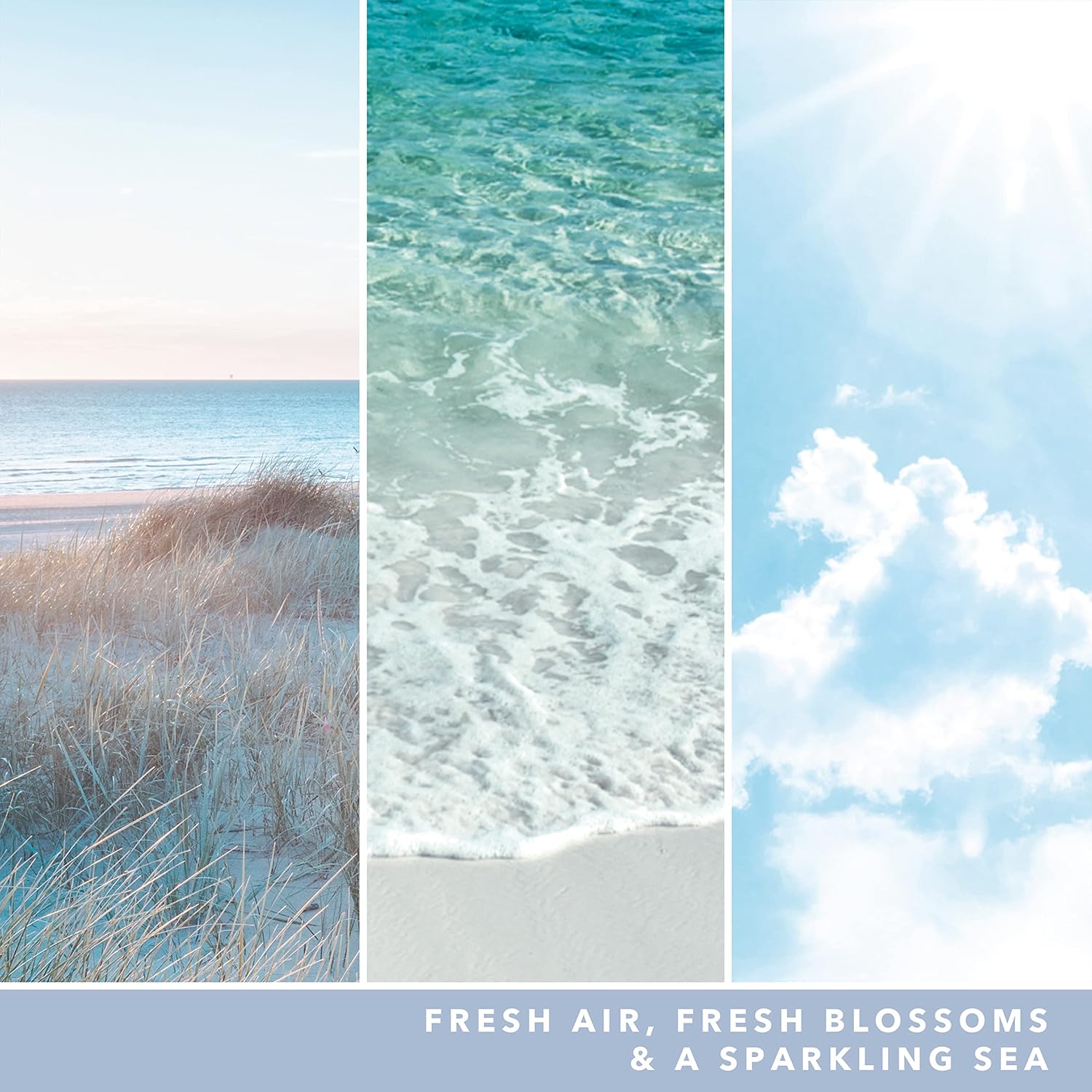 Ocean Air Signature Large Jar - SALE