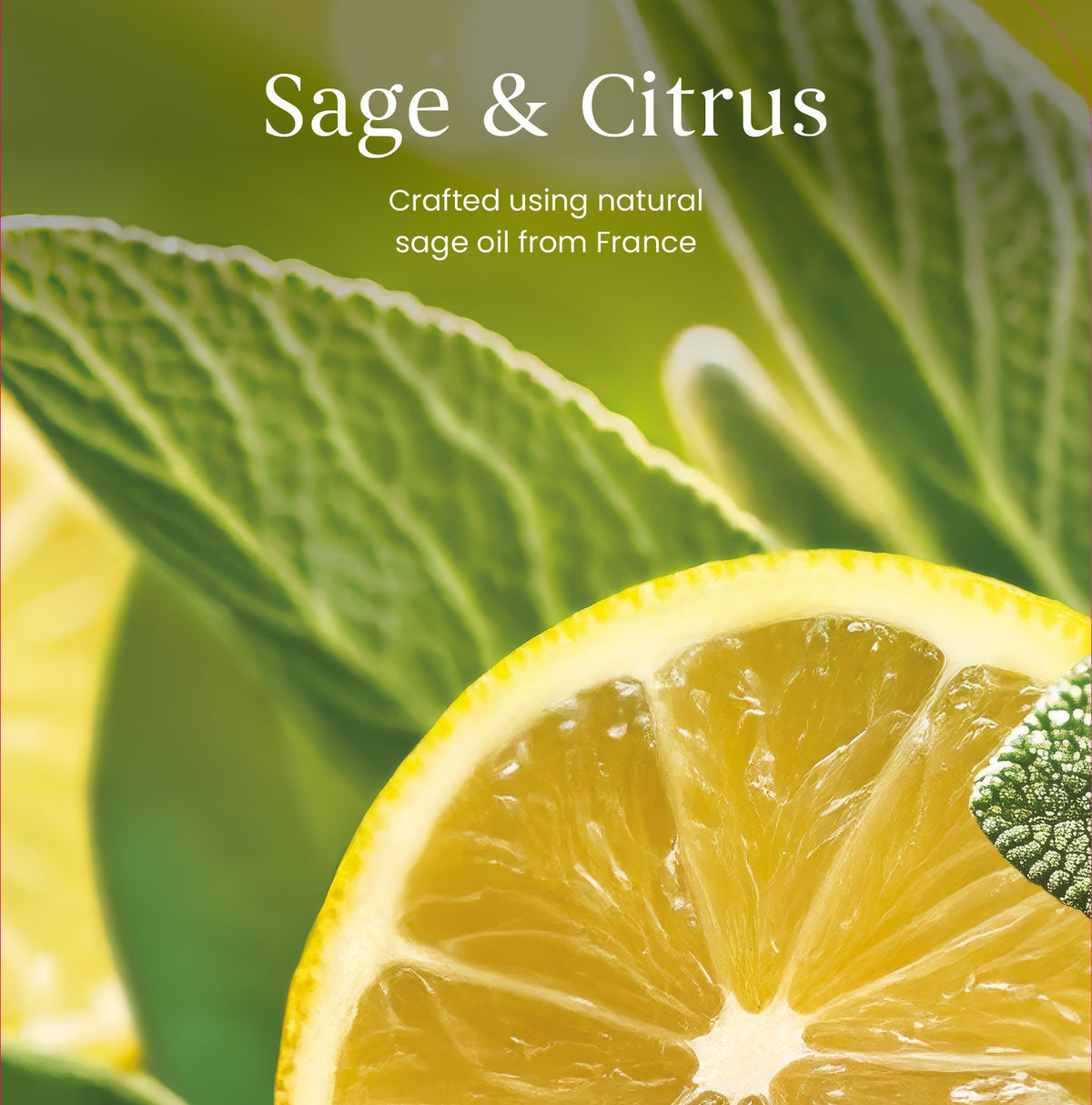 Sage & Citrus CLASSIC Large Jar