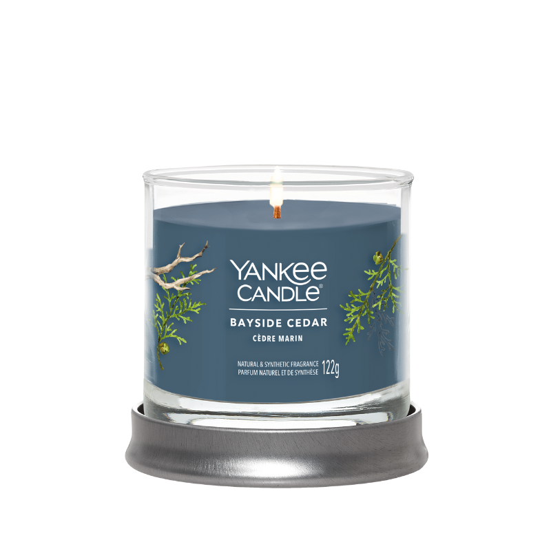 Bayside Cedar Signature Small Tumbler - Special Offer