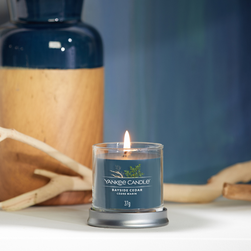 Bayside Cedar Signature Small Tumbler - Special Offer