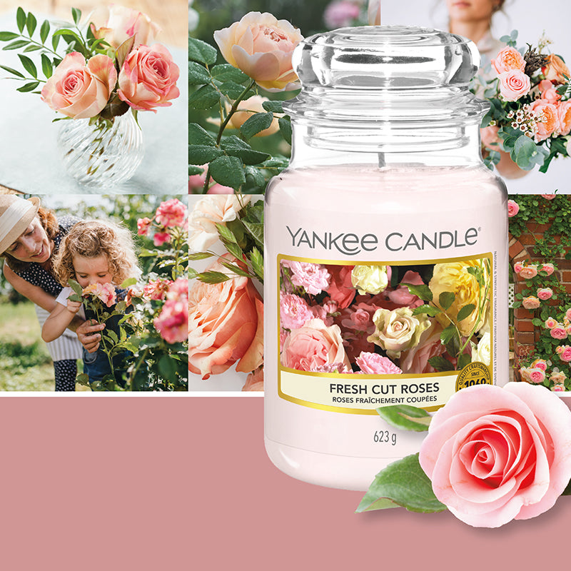 Fresh Cut Roses Classic Large Jar