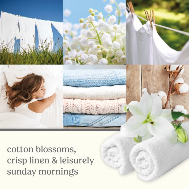 Clean Cotton Signature Large Jar - SALE